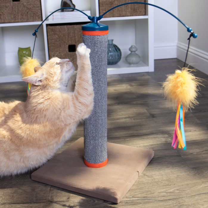 Purr & Pounce Worldwise Pet Products Sara Paculdo