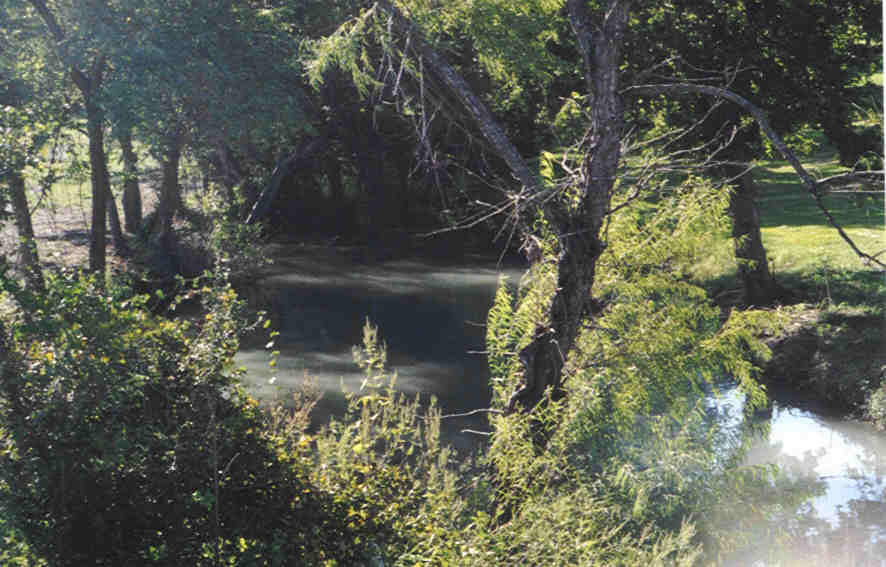 Geronimo, Texas History
