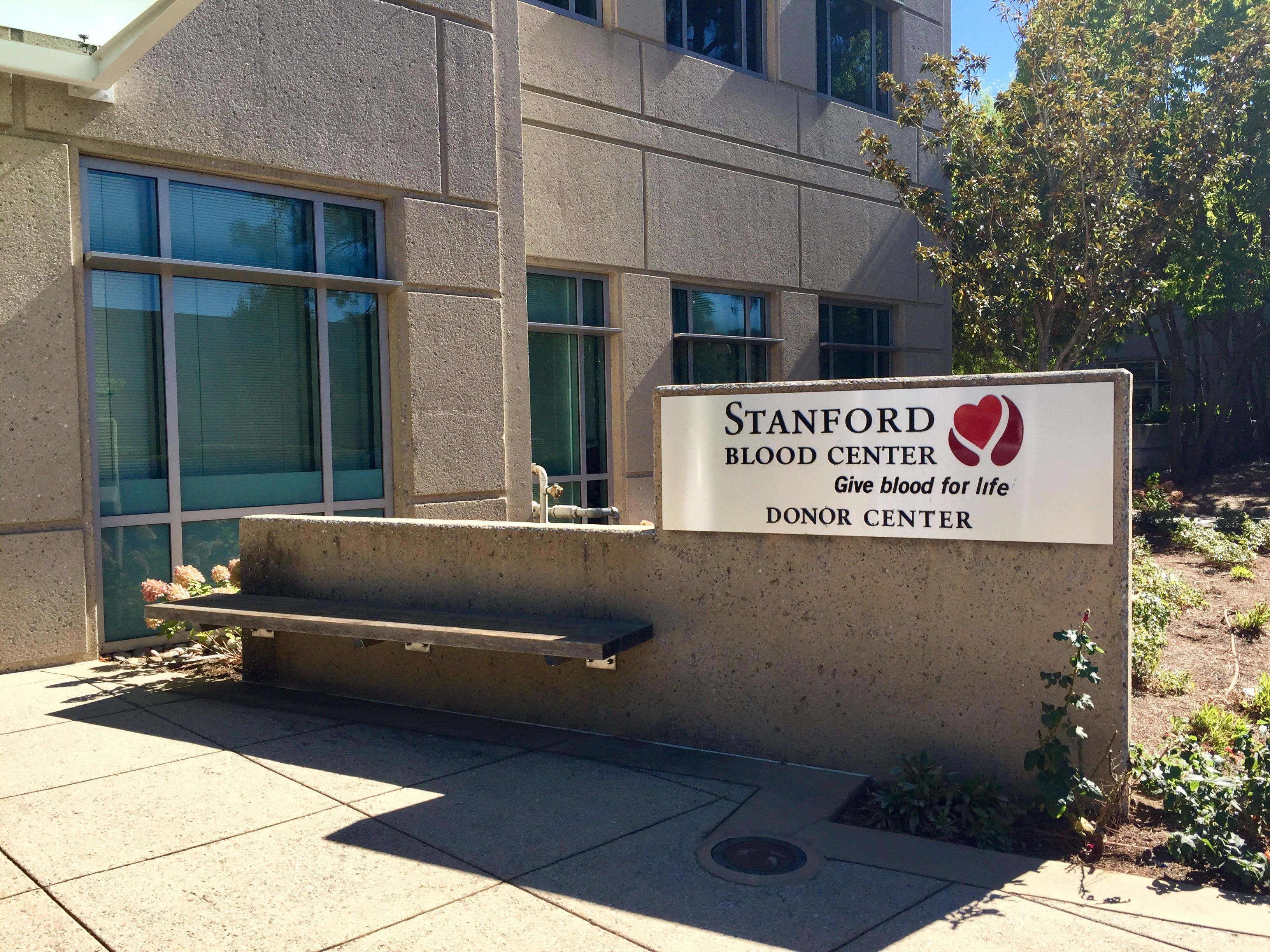 Blood Palo Alto Daily Post