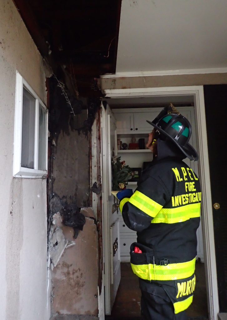 Squirrel almost burns down house Palo Alto Daily Post