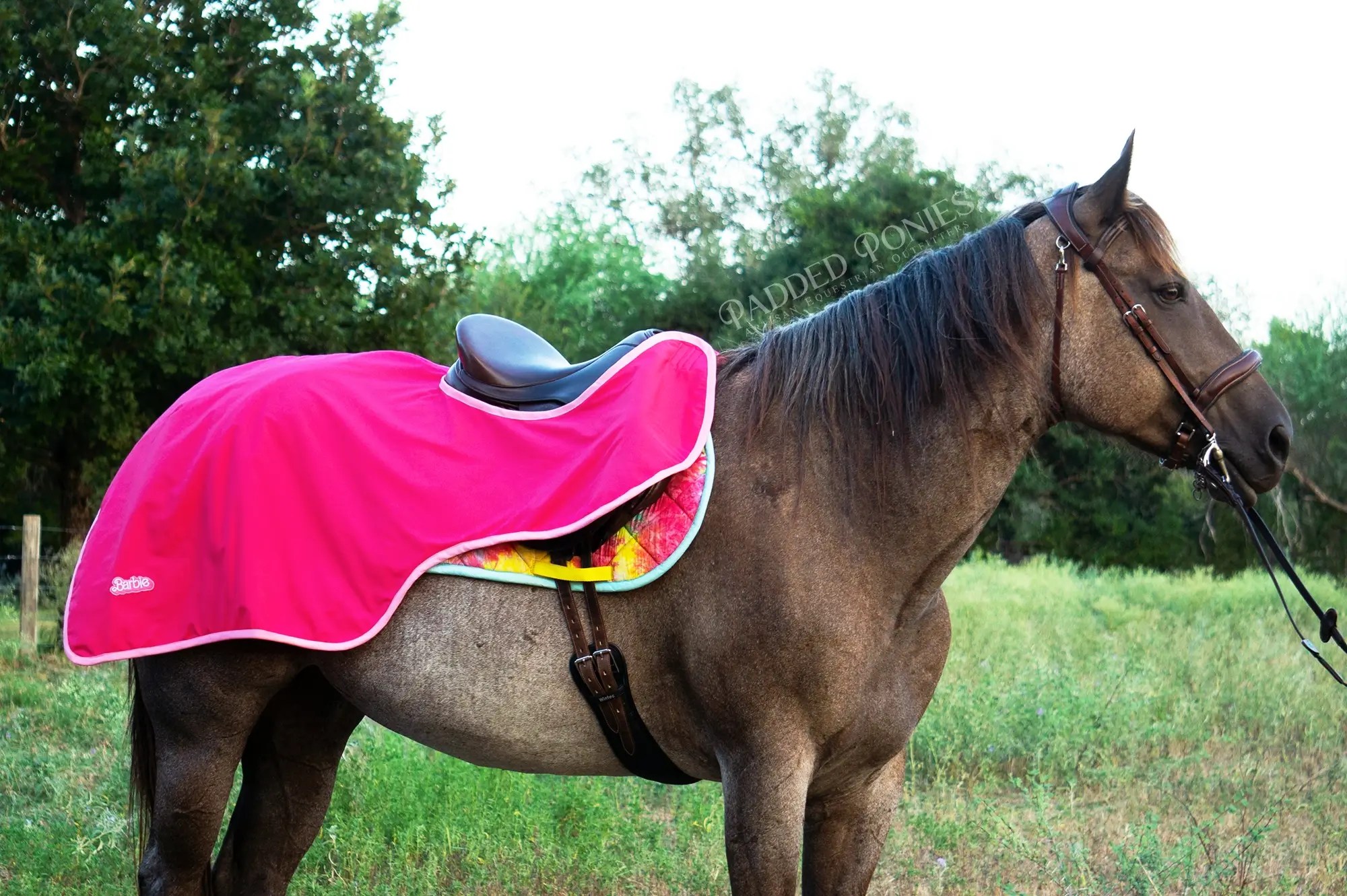 Custom Cartoon Character Patch Solid Color Quarter Sheet Padded Ponies