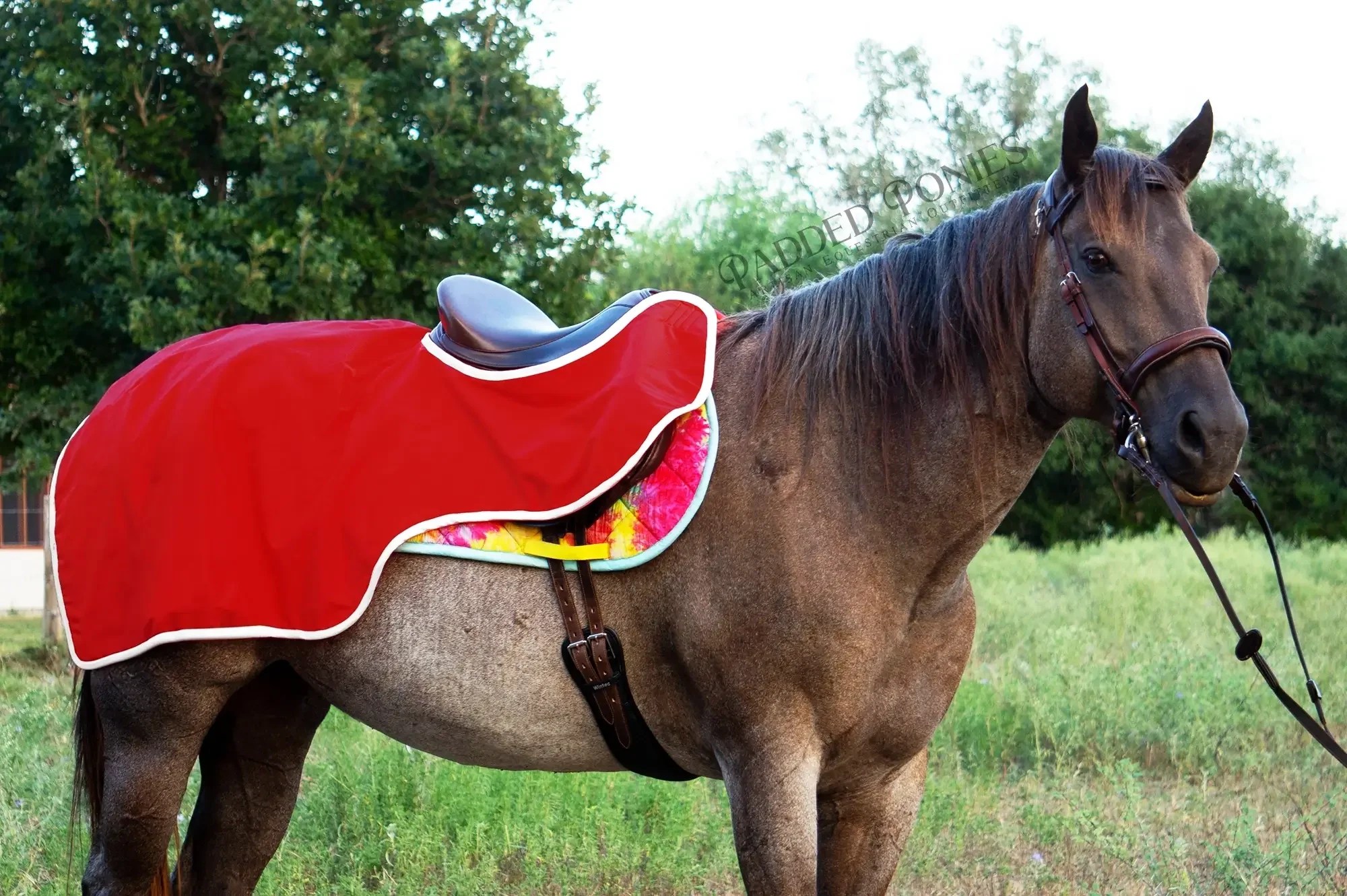 Custom Solid Color Quarter Sheet Padded Ponies