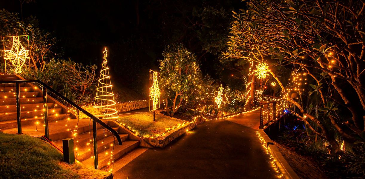 PaddingtonChristmasLights3 Paddington Today