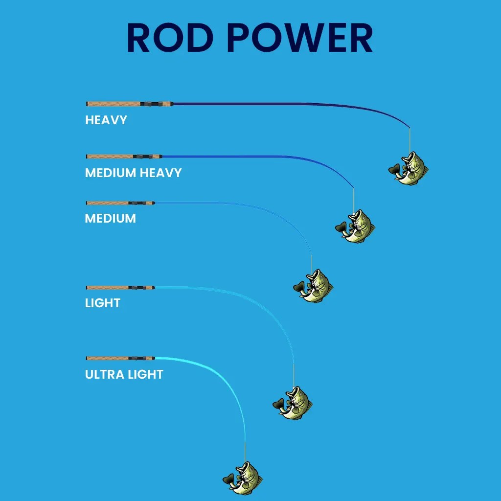 Rod Action And Power How To Choose Right One