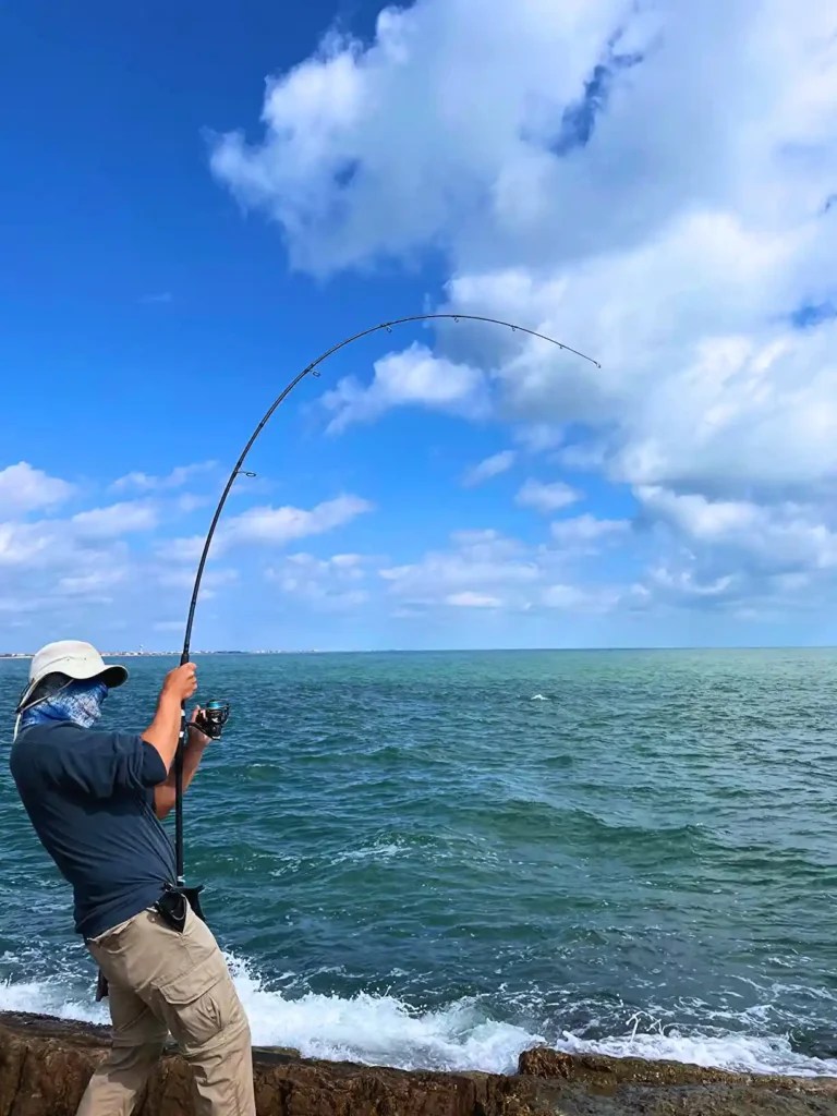 Ultimate Guide To The Best Surf Fishing Setup Catch More