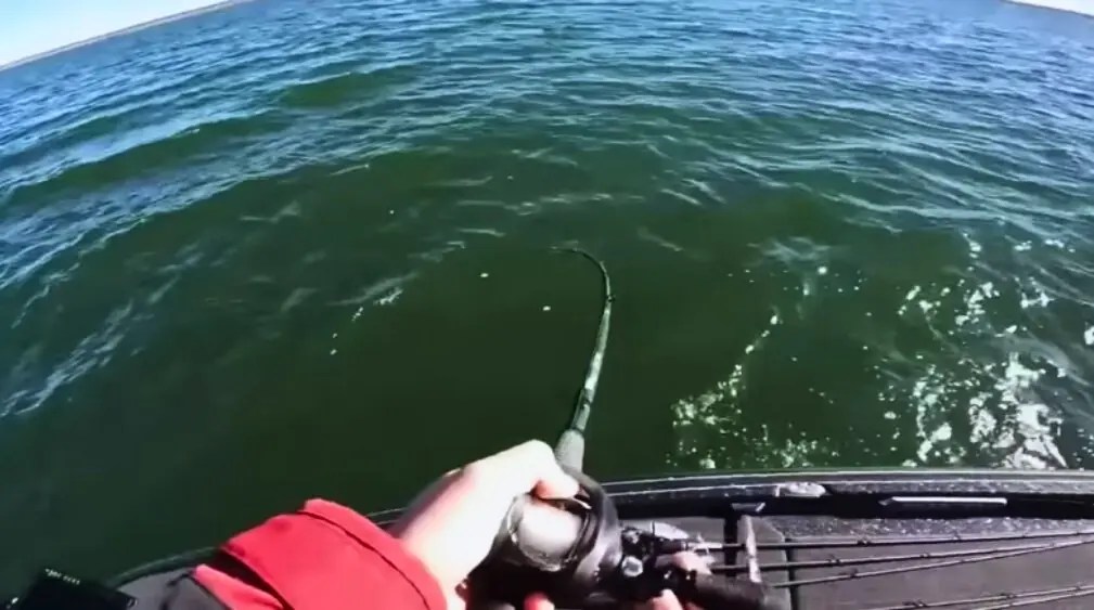 How To Pier Fishing Setup Guide And Tips