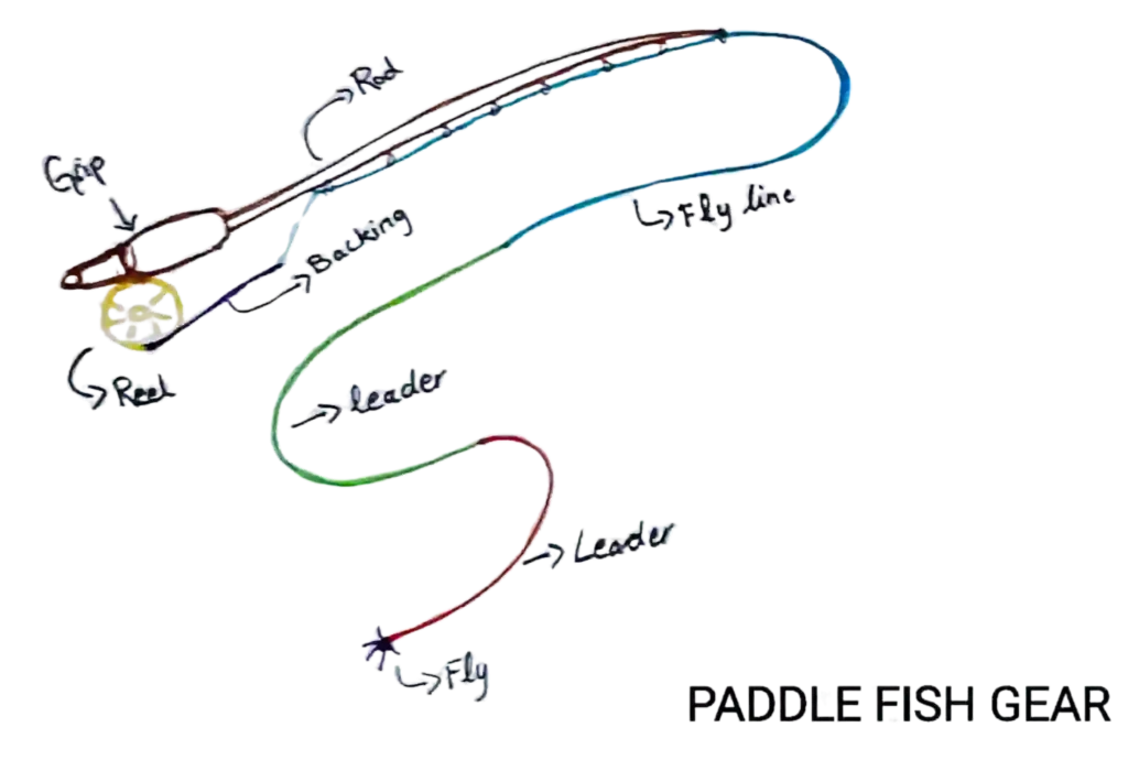 FLY FISHING ROD SETUP 101, All In One Guide