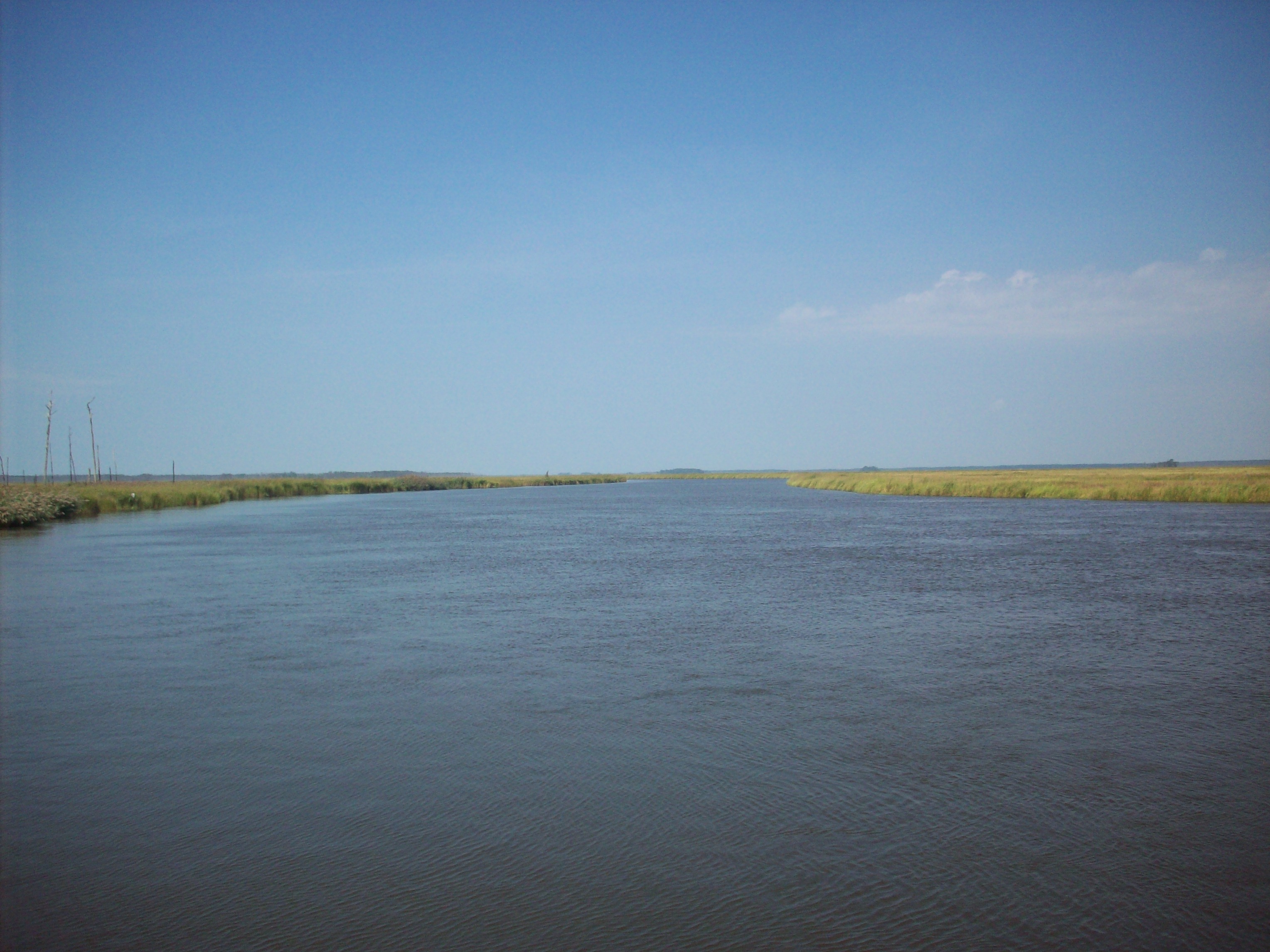 Shorters Wharf (G. Reese Todd Public Landing) Paddle the Nanticoke