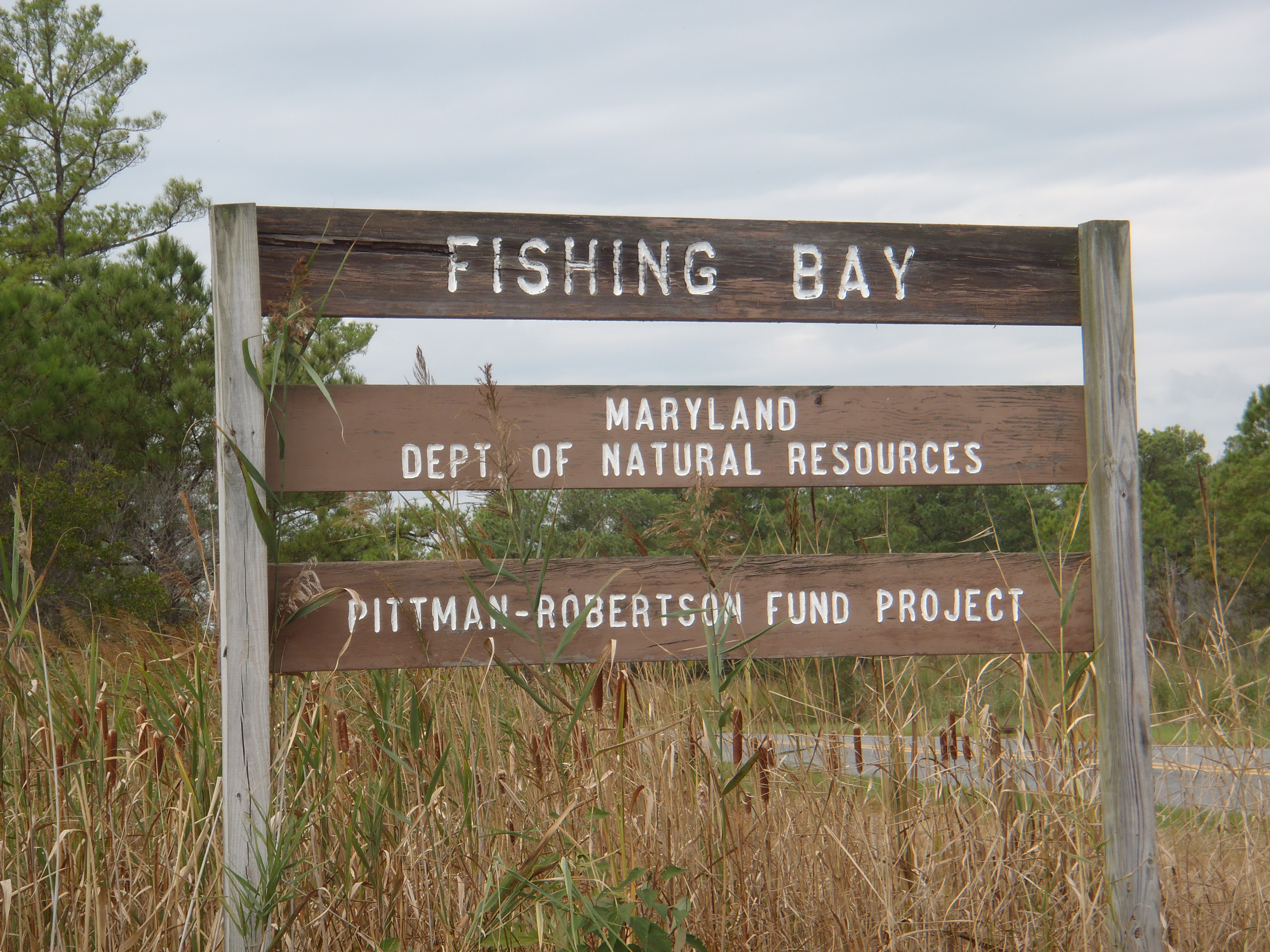 Bestpitch Ferry Boat Ramp Paddle the Nanticoke Paddle the Nanticoke