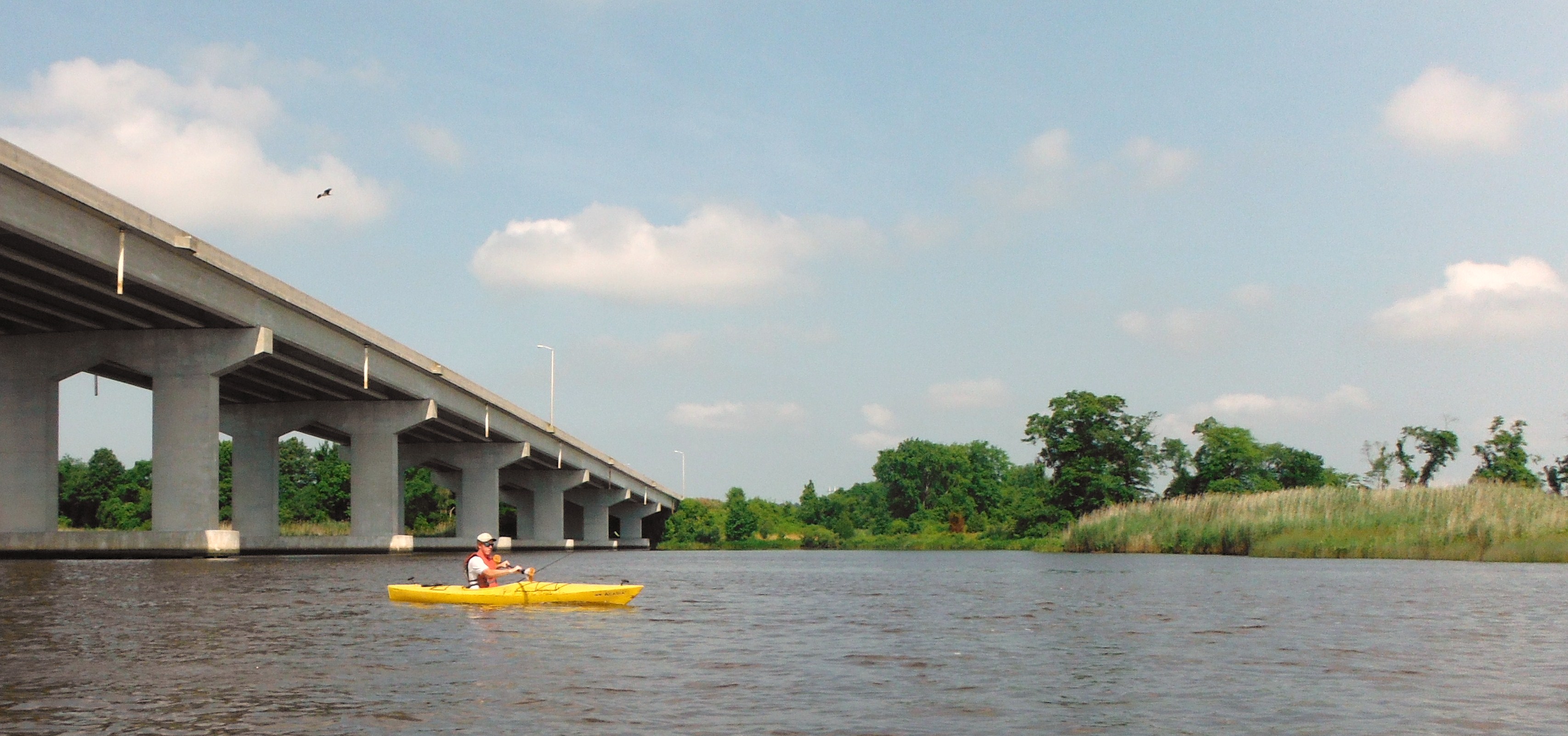 Chicone Paddle Paddle the Nanticoke Paddle the Nanticoke