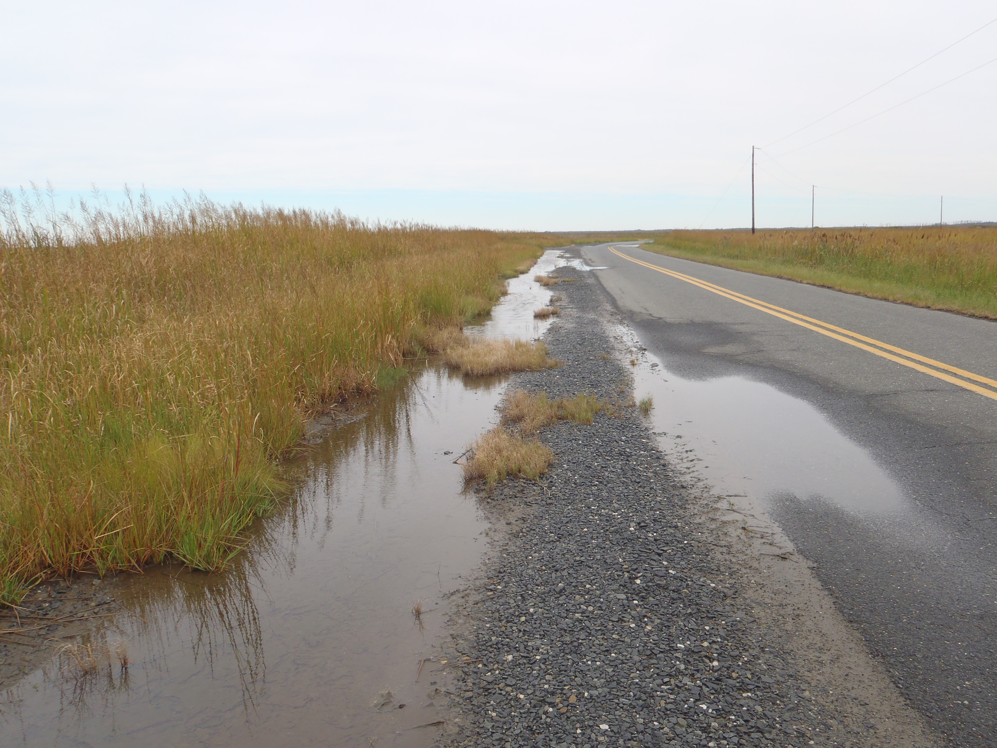 Elliott Island Road Boat Ramp Paddle the Nanticoke Paddle the Nanticoke