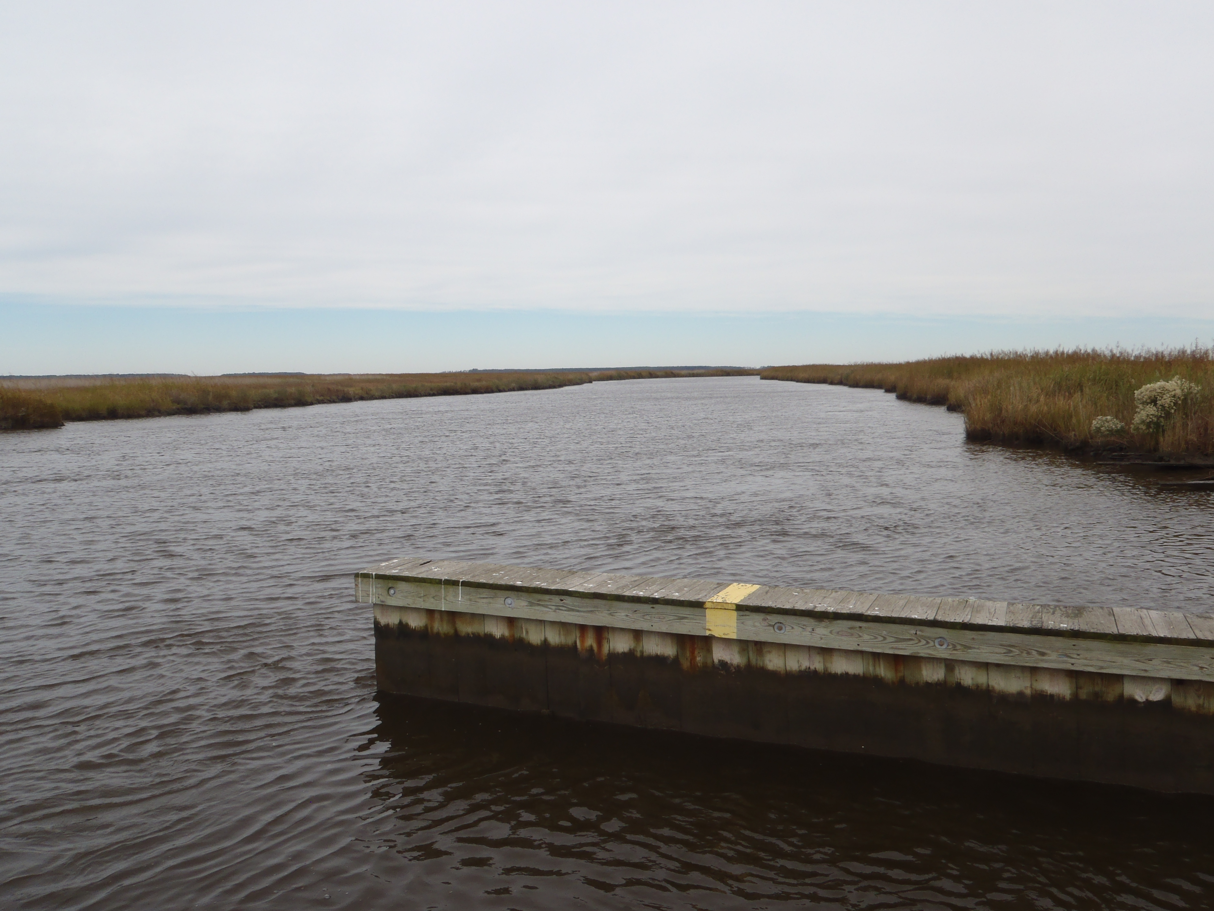 Elliott Island Road Boat Ramp Paddle the Nanticoke Paddle the Nanticoke