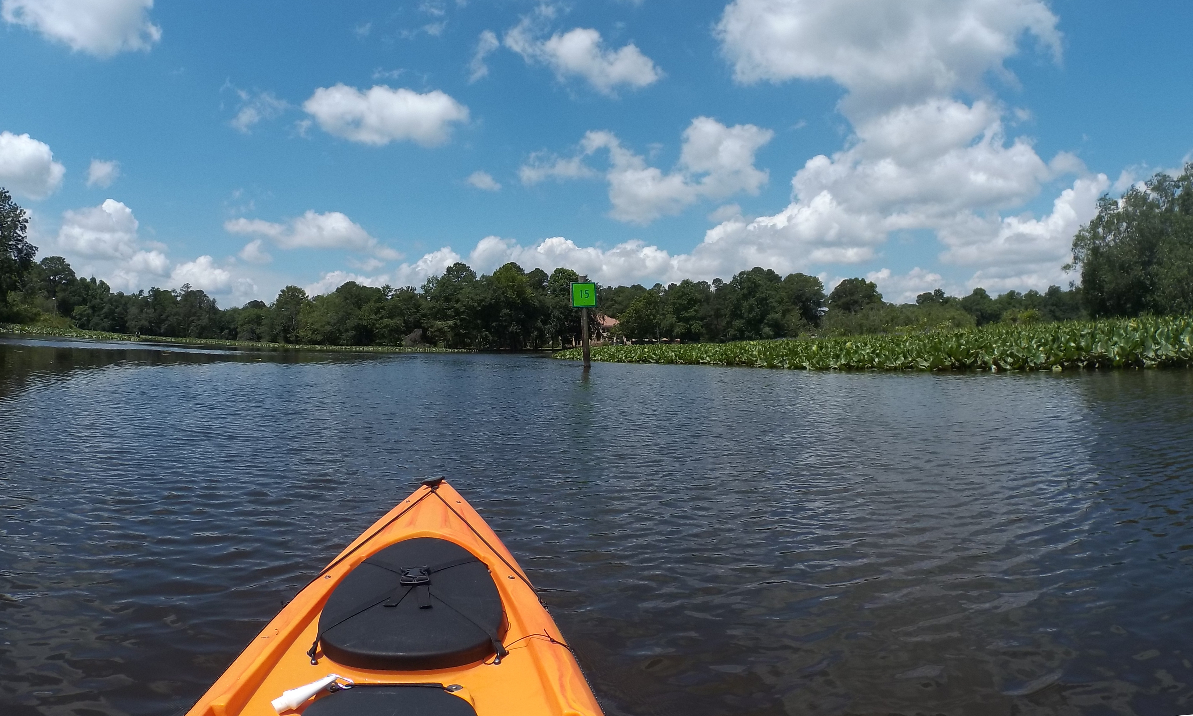 Broad Creek Paddle Paddle the Nanticoke Paddle the Nanticoke