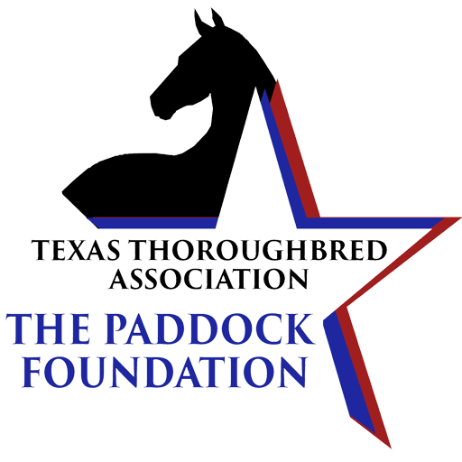 The Paddock Foundation Finding second careers for Thoroughbred racehorses