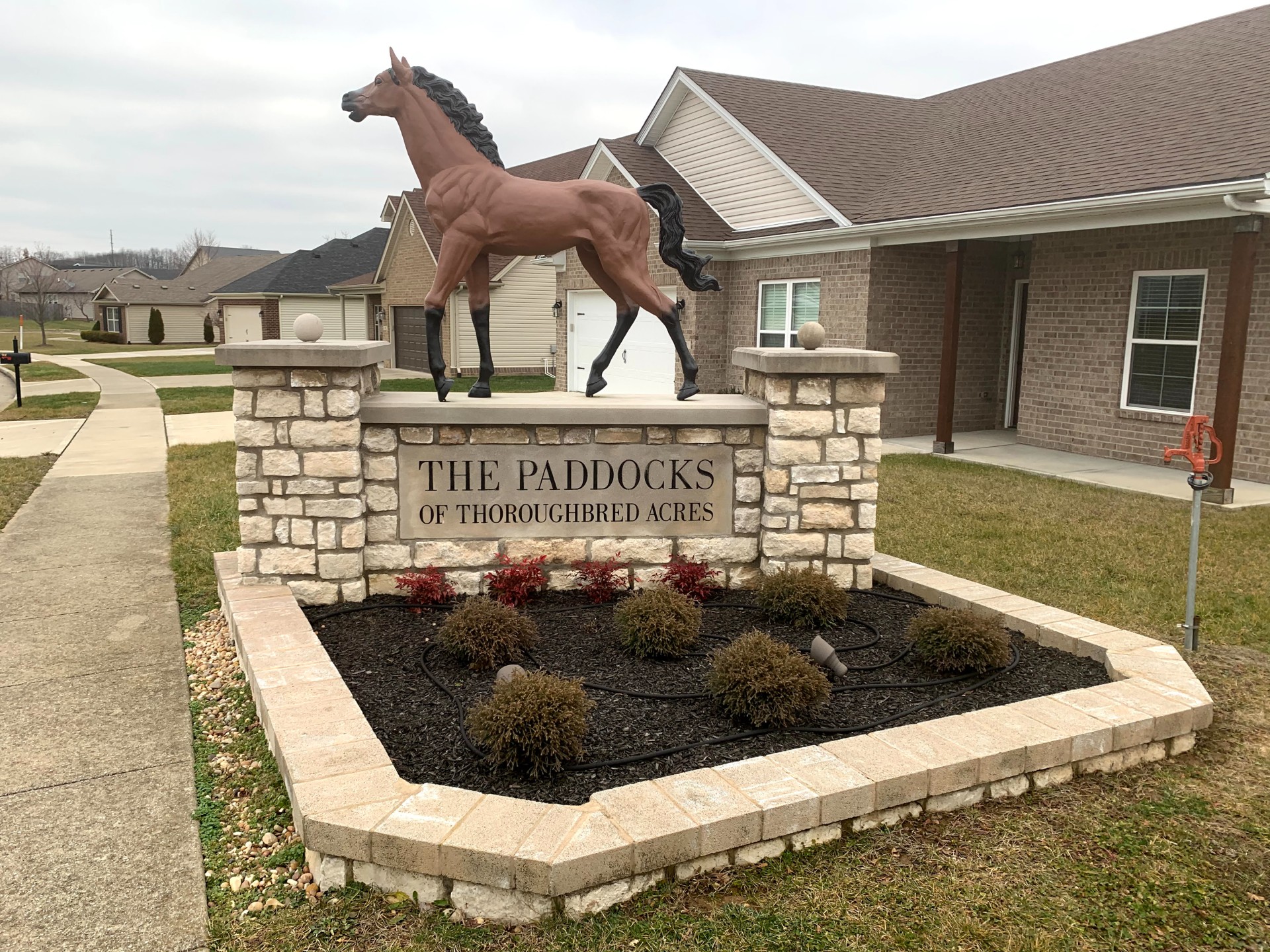 The Paddocks of Thoroughbred Acres