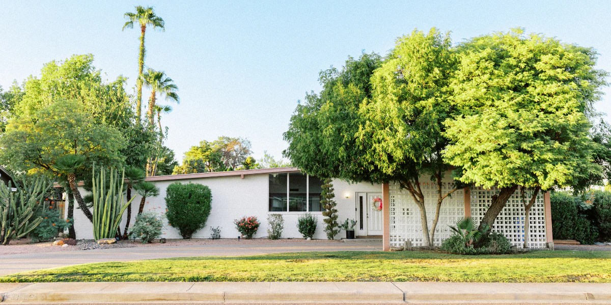 Step into the Past Creating an MCM Palm Springs Paradise On Your Pati