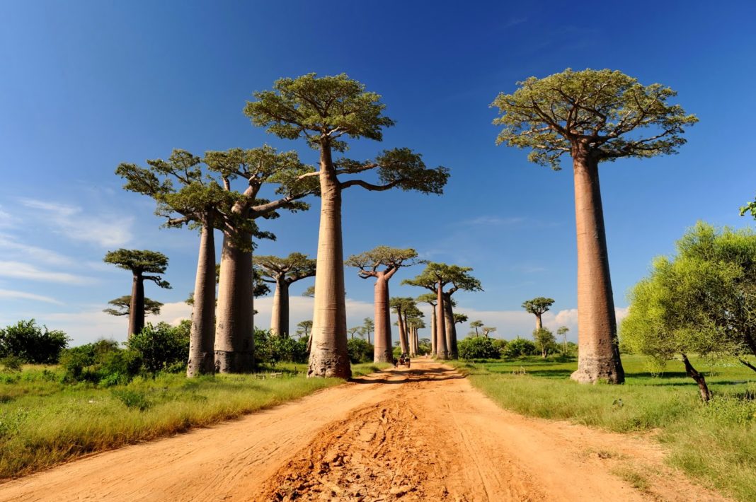 15 lugares más bellos de África que no te puedes perder
