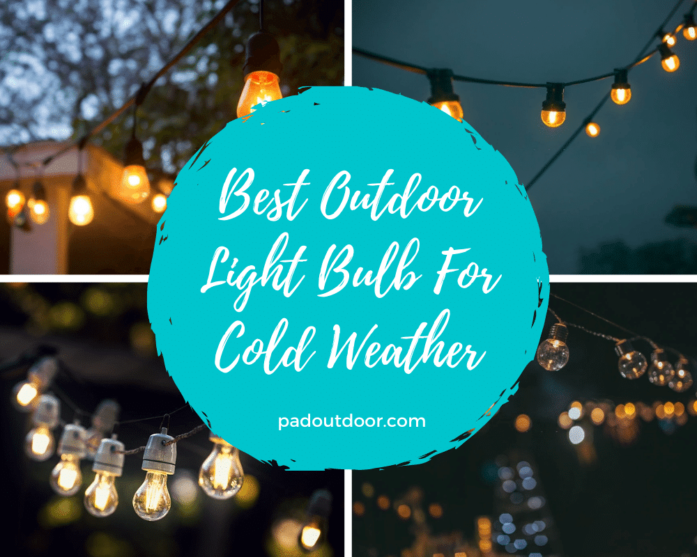 Best Outdoor Light Bulbs For Cold Weather Pad Outdoor