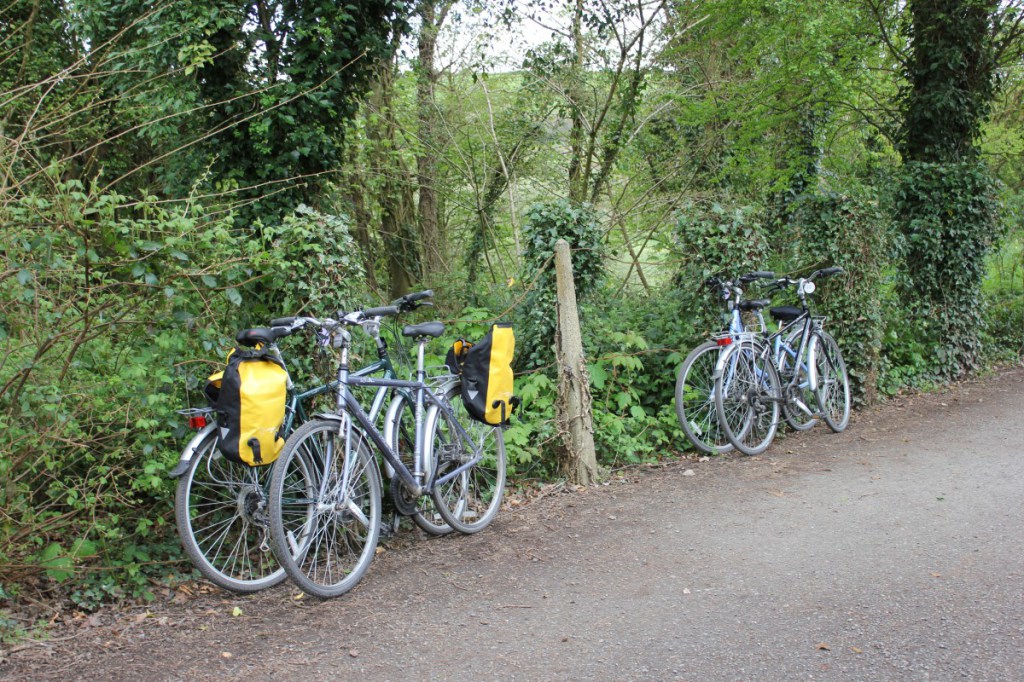 TRAIL BIKE HIRE