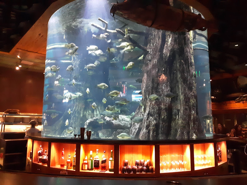 The Nation’s Largest Elevator Inside of Bass Pro Shop & The Lookout