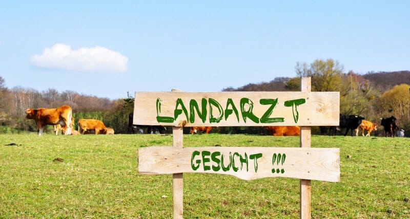 131 Medizinstudienplätze in Bayern für Landarzt und ÖGDQuote vergeben