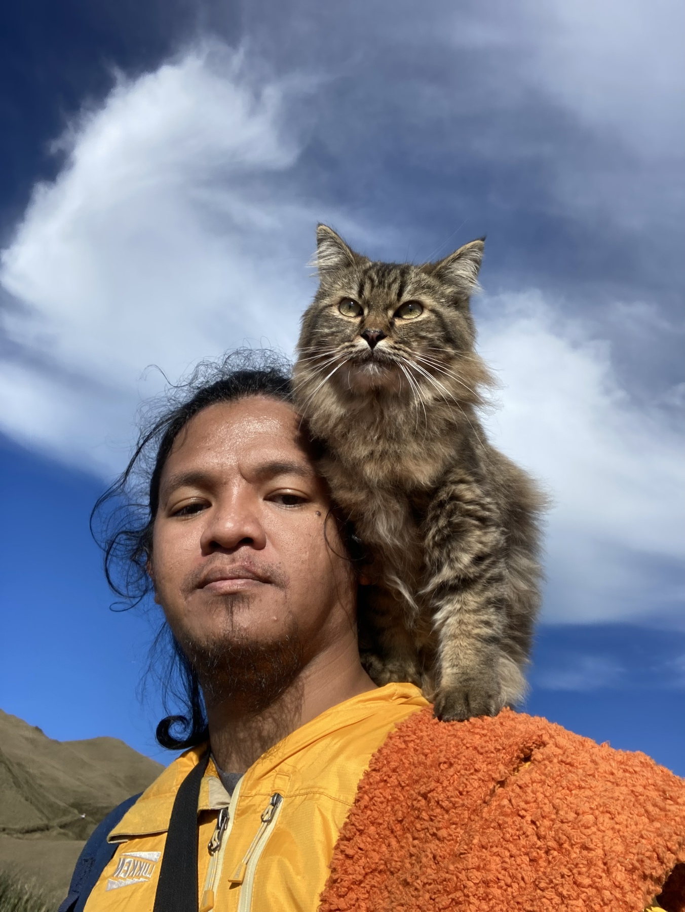 Cat Owner Trends As He Brings His Cat In A Mountain Hiking
