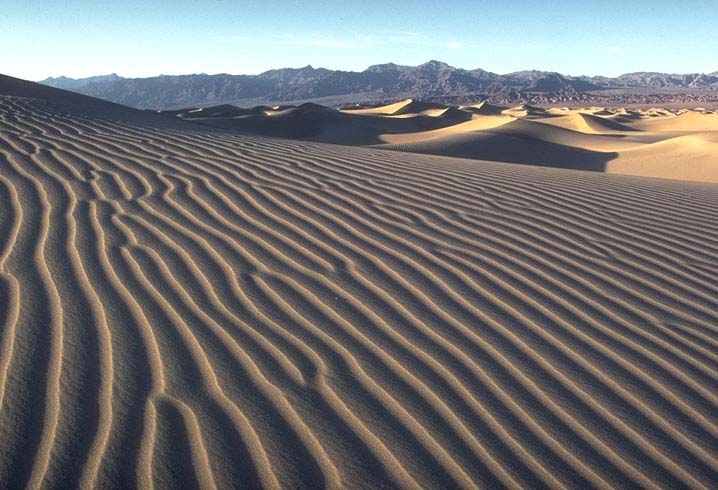 Dunes and Ripples, Mesquite Flat, Death Valley, CA.