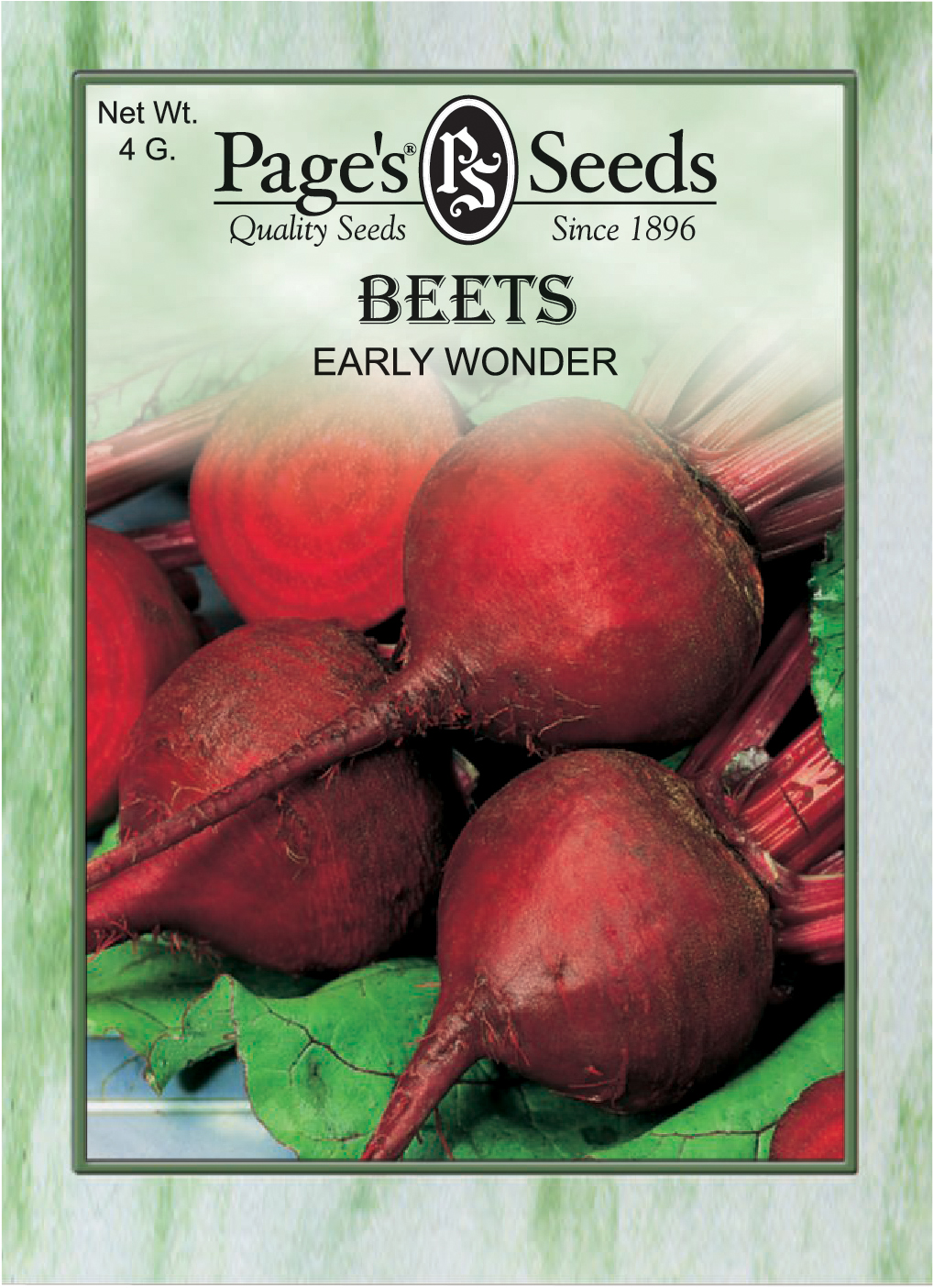 Beets Early Wonder The Page Seed Company, Inc