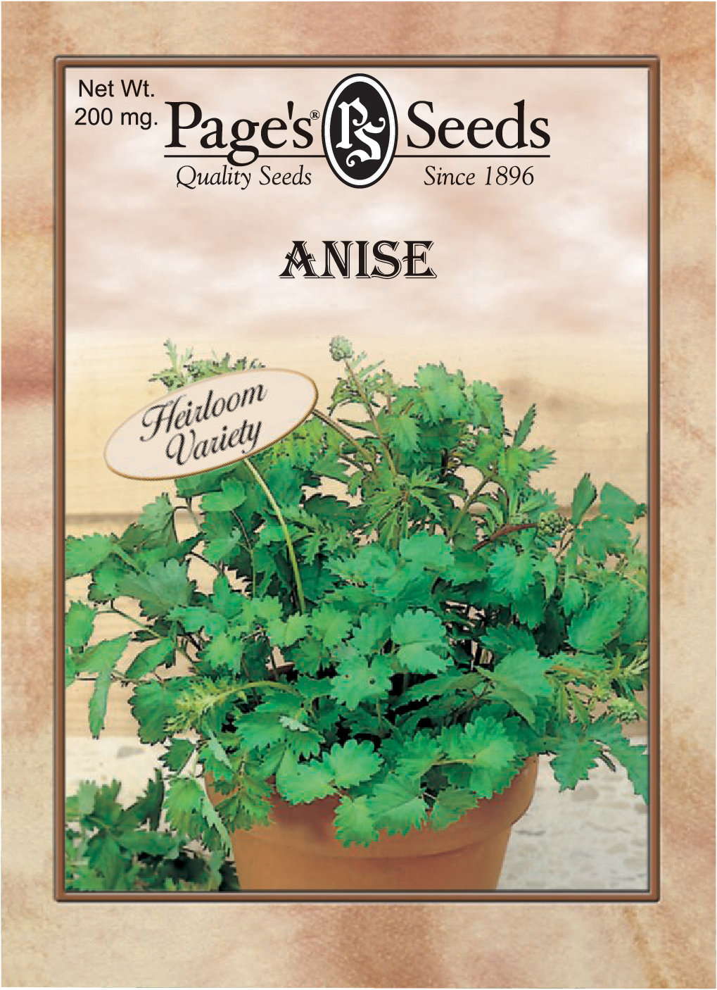 Anise Herb The Page Seed Company, Inc