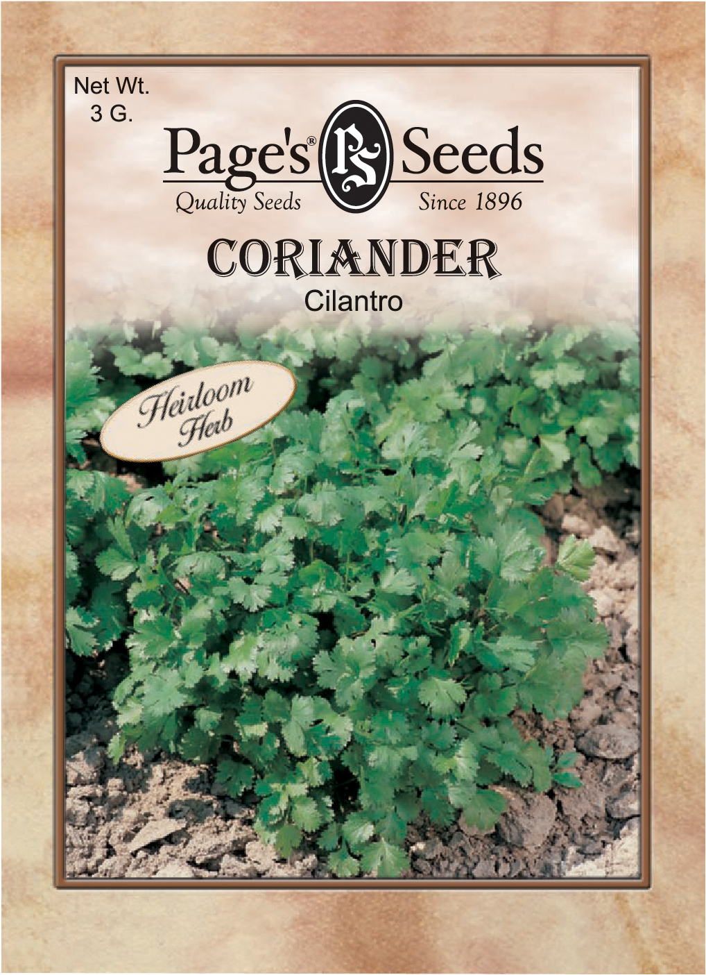 Coriander Herb The Page Seed Company, Inc