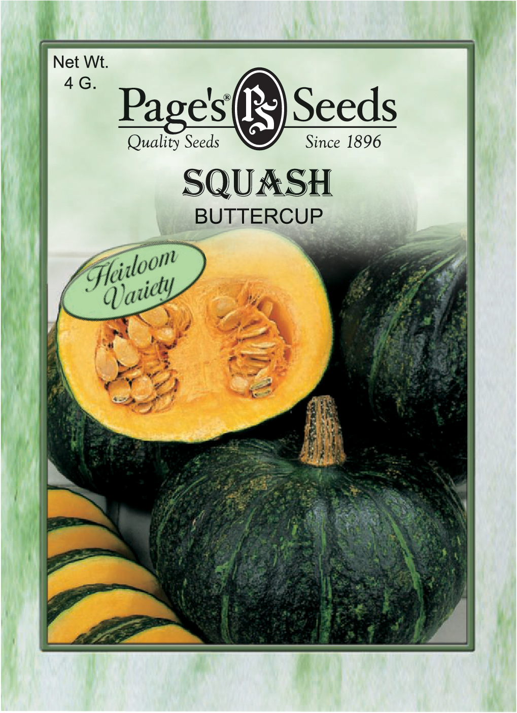 Squash Buttercup The Page Seed Company, Inc