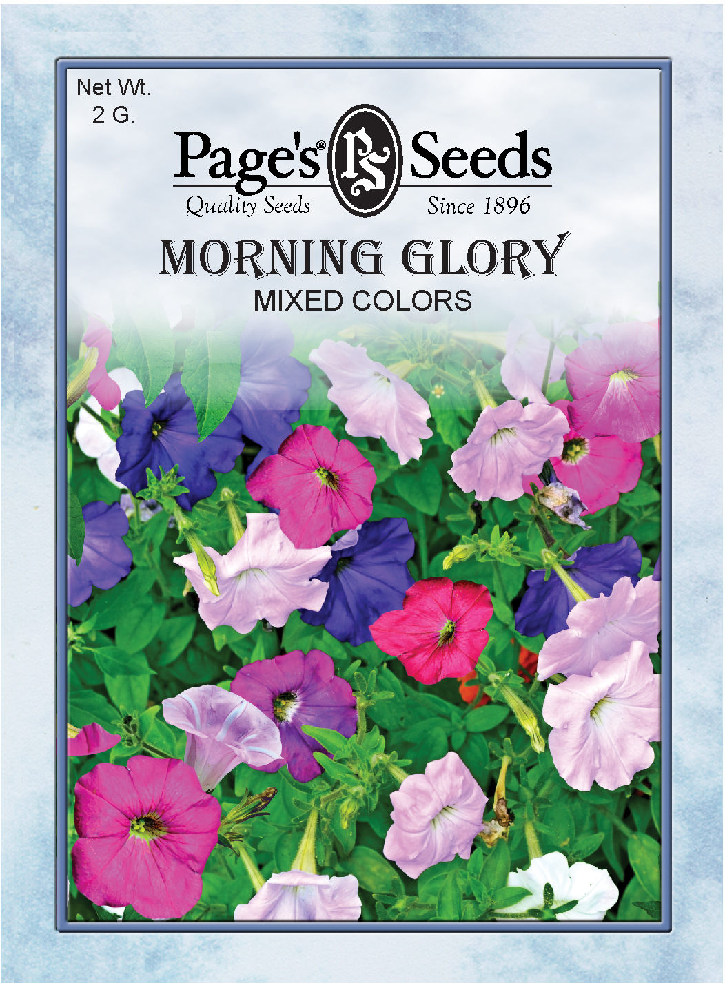 P803MORNING GLORY, Mixed Colors The Page Seed Company, Inc