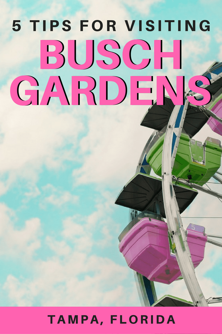 5 Tips to Receive Busch Gardens Discount Tickets & Rides