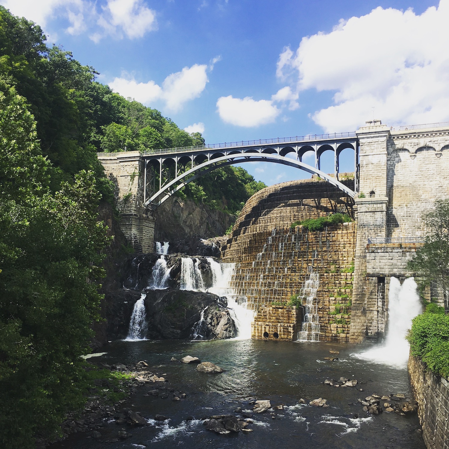 Ann McBrideAlayon Hudson River Line Realty amNewYork