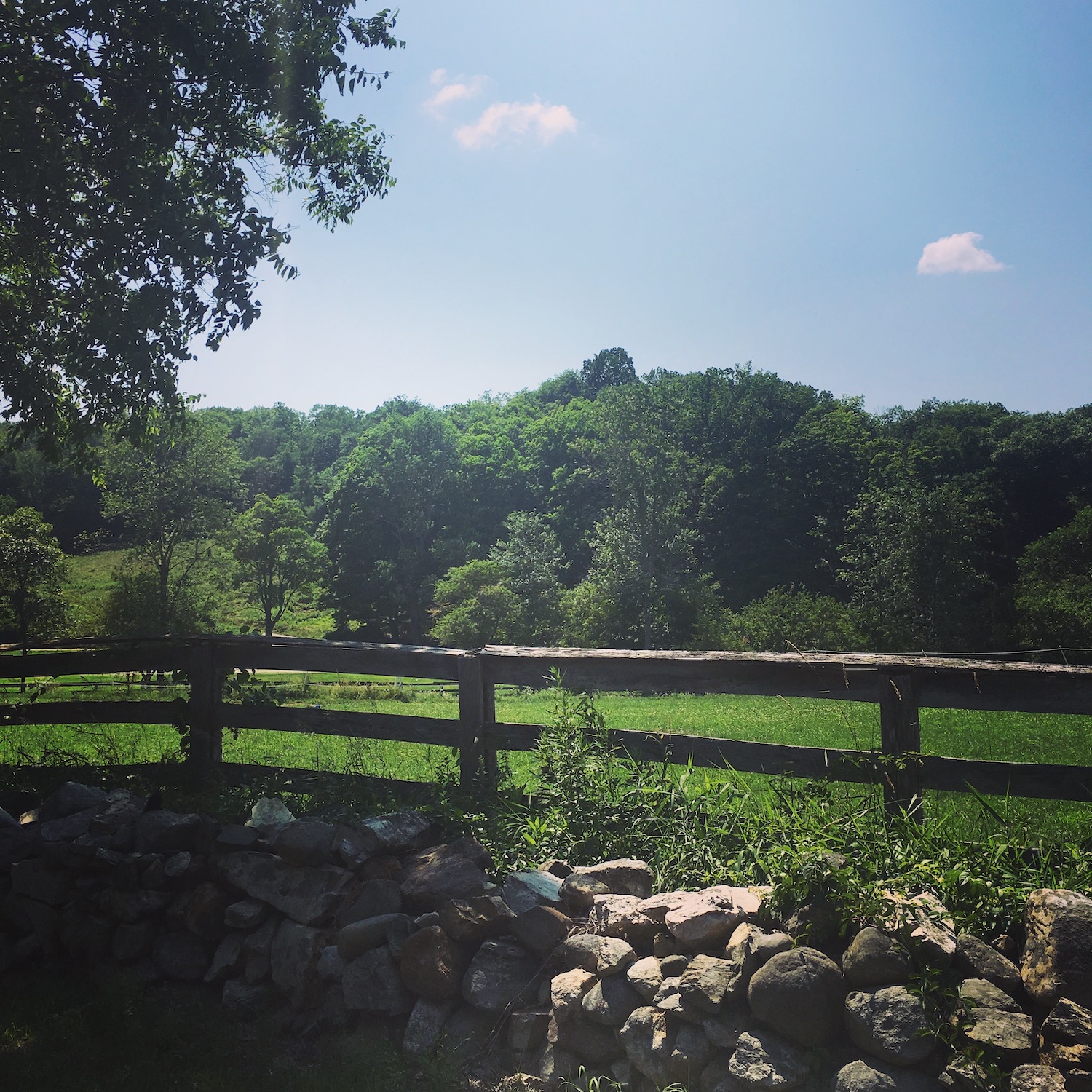 Ann McBrideAlayon Hudson River Line Realty amNewYork