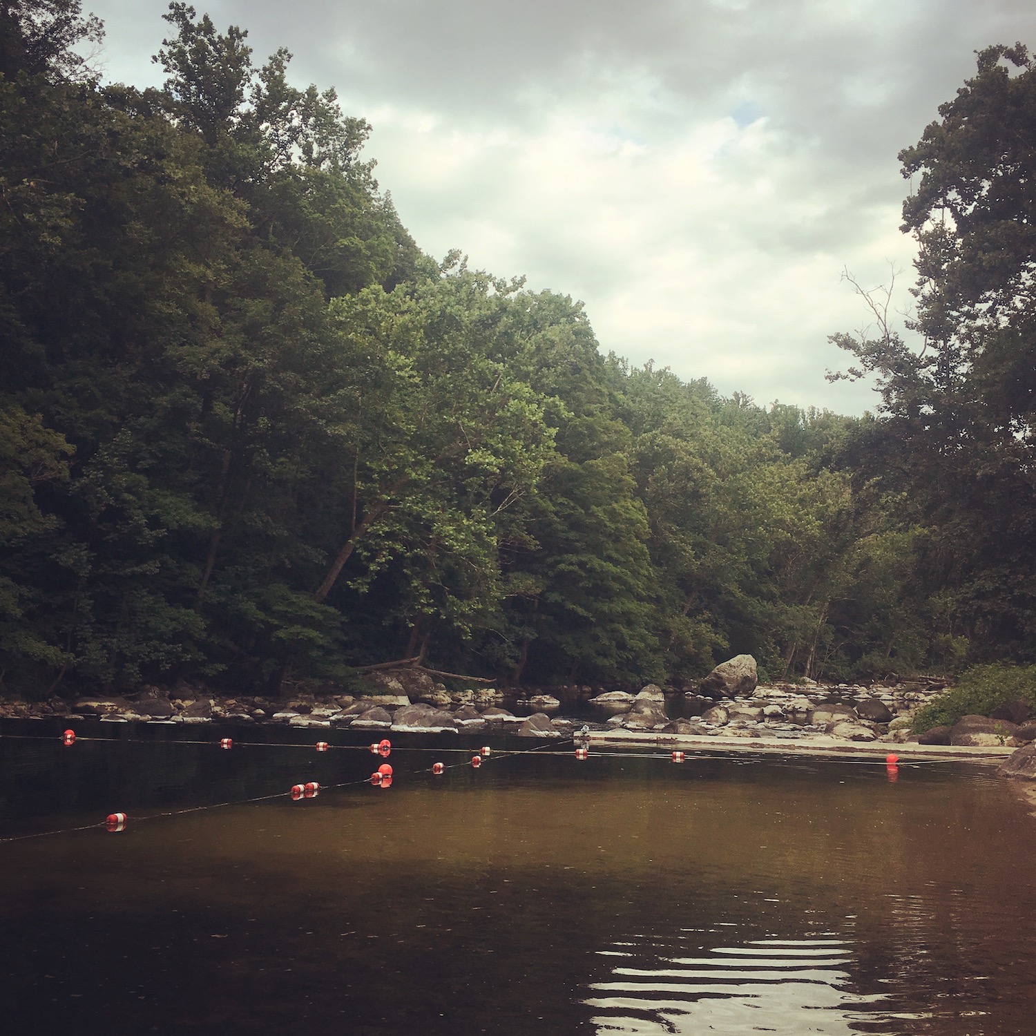 Ann McBrideAlayon Hudson River Line Realty amNewYork