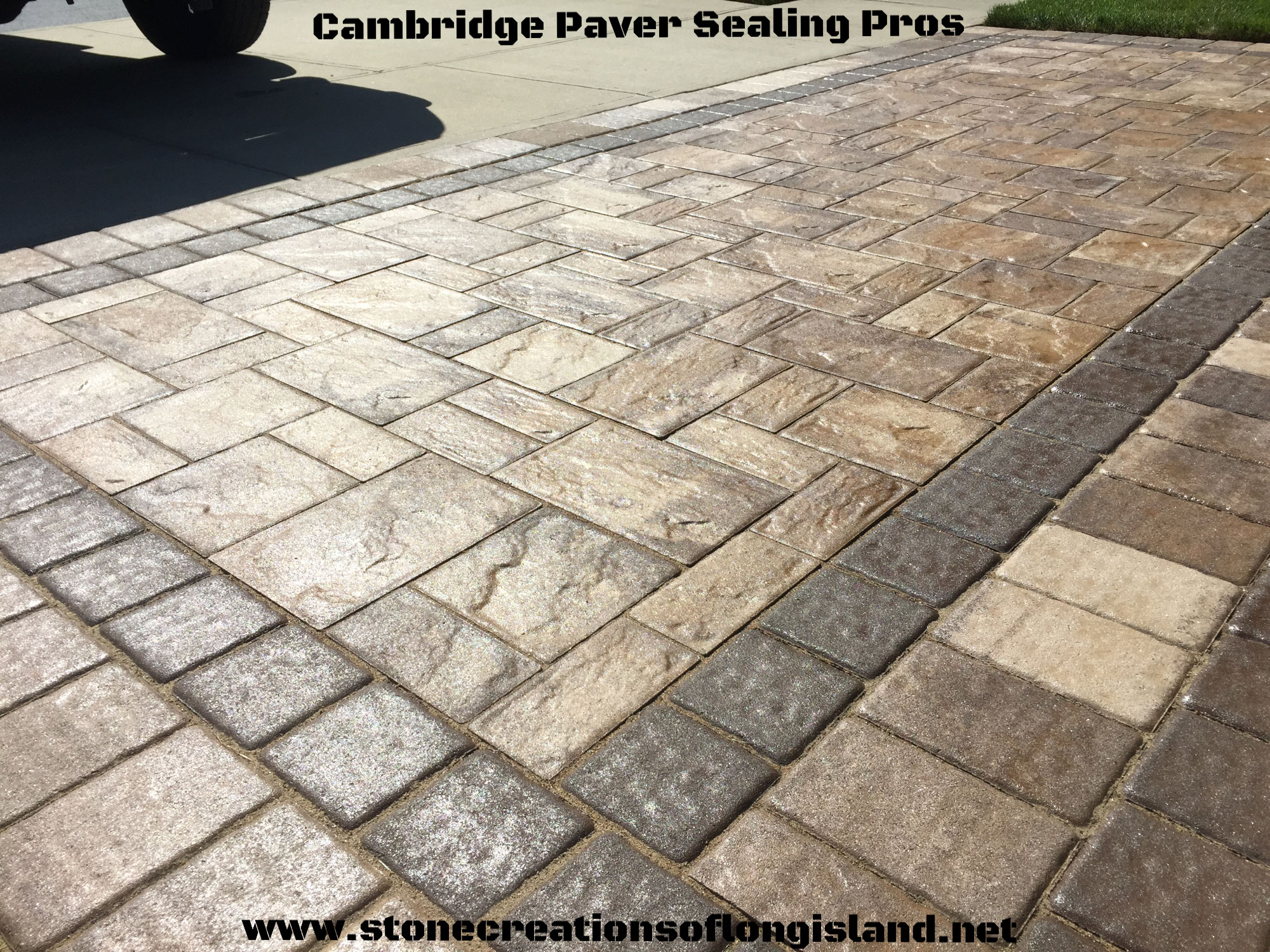 Dan’s Papers This Is the Hamptons