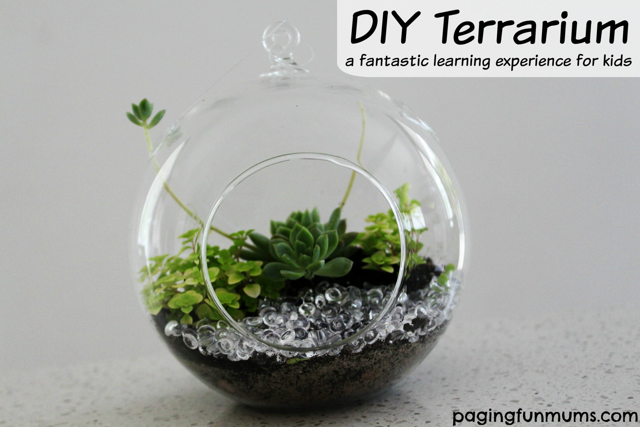 How to make a Terrarium a fun and educational activity for little