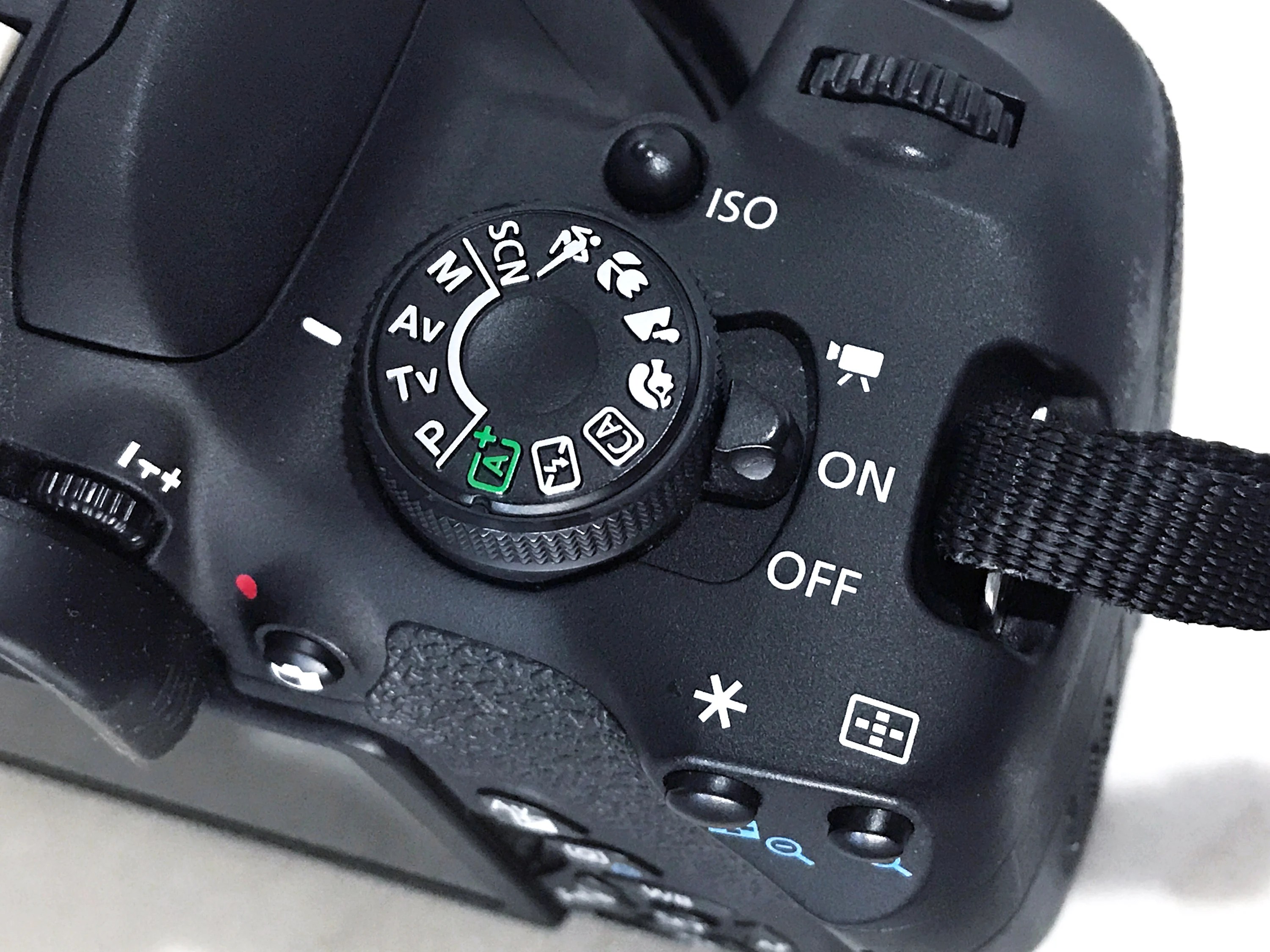 Family Vacation Photos Travel Photo Tips for Busy Moms