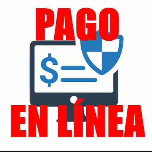 Pago En Línea Cómo Pagar Servicios, Tarjetas, Facturas...