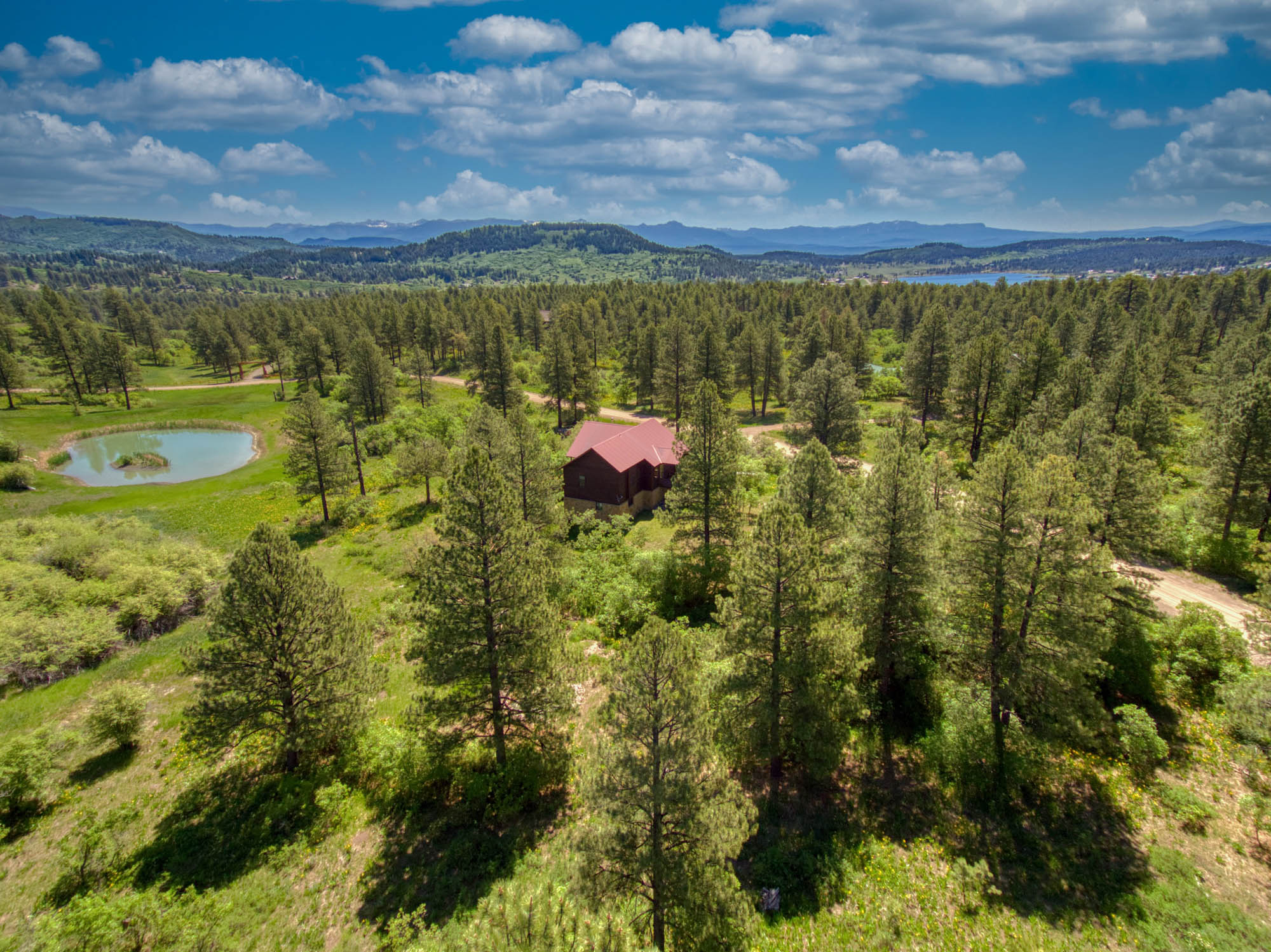 Wildflower Pagosa Springs Real Estate Listings