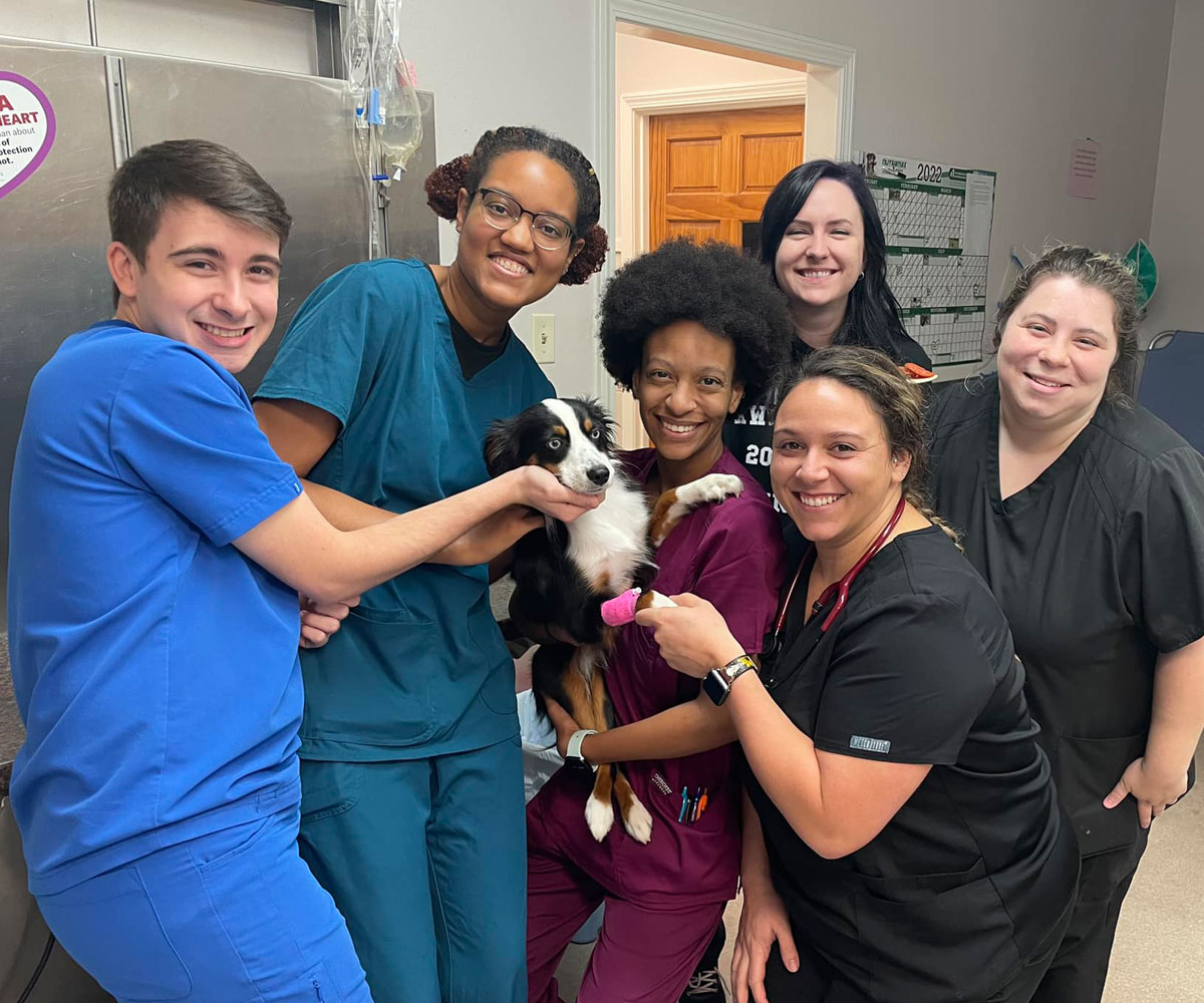 Best Veterinary Hospital In Slidell, LA Pontchartrain Animal Hospital