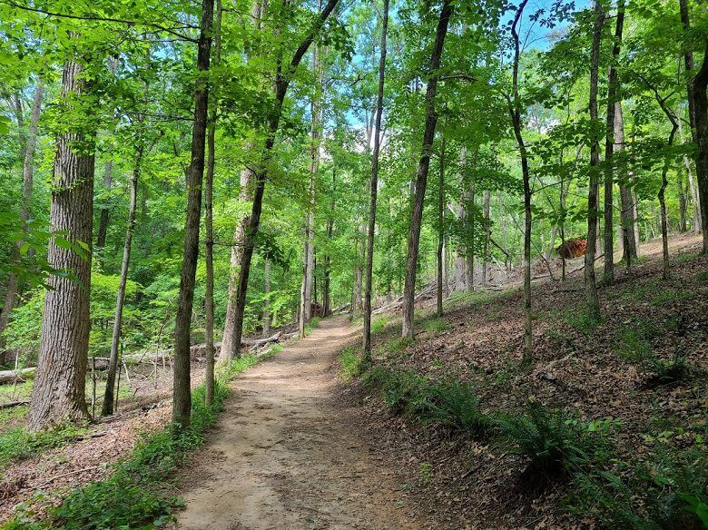 Hiking the Homestead Trail Red Top Mountain State Park Hikes
