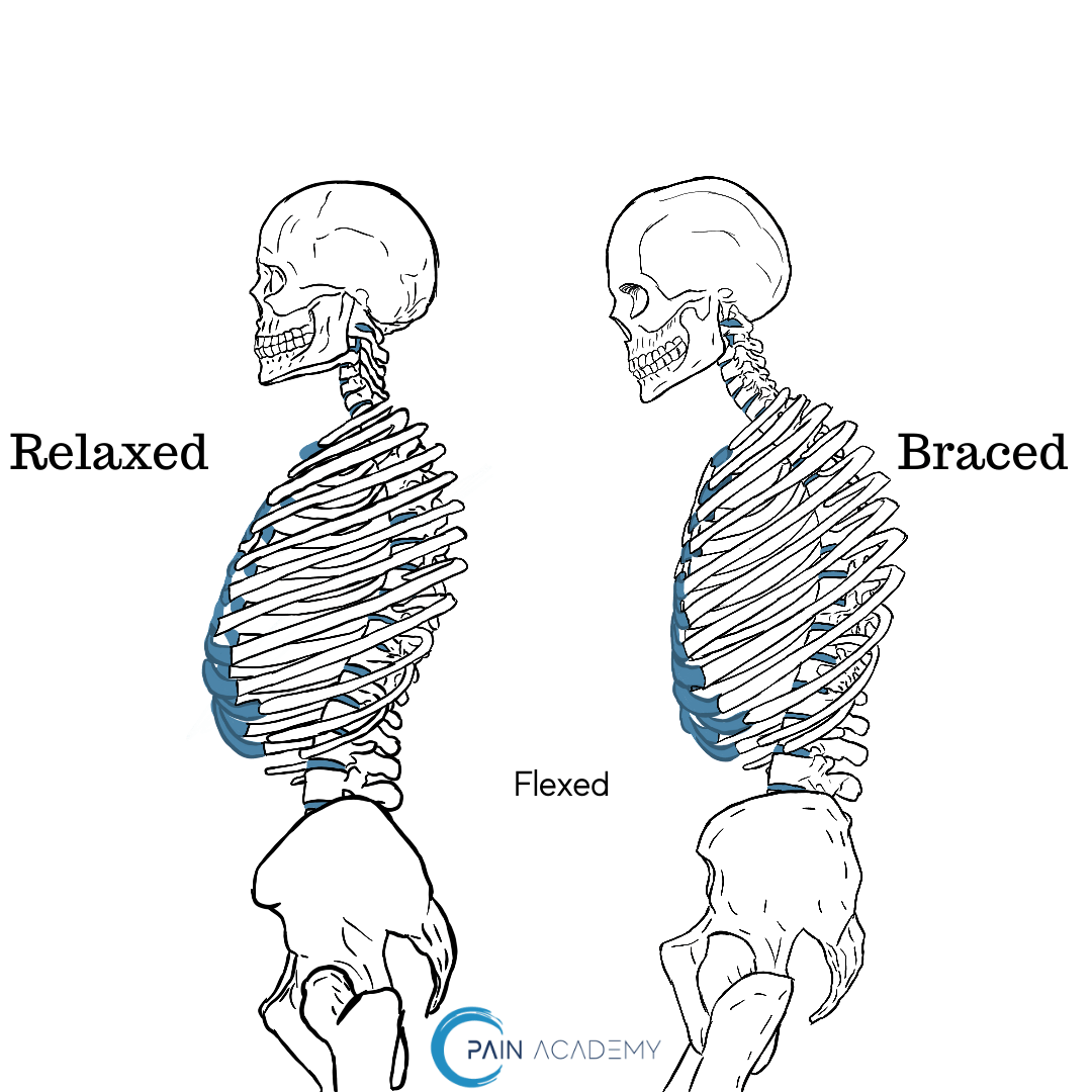 What core bracing really does to your body. Pain Academy