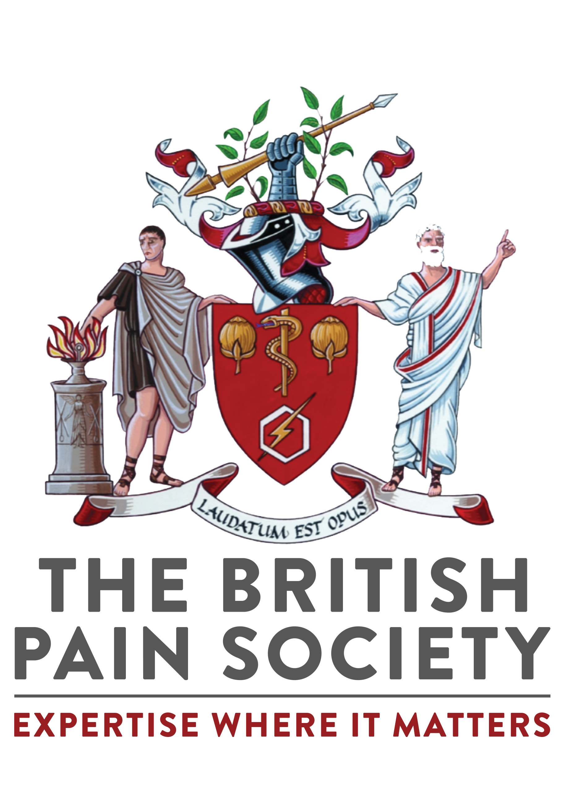 Airing Pain 96 The British Pain Society at 50 Pain Concern