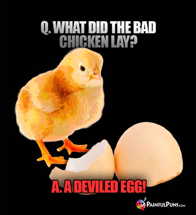Egg Jokes, Cracked Puns, Chicken Egg Laying LOLs