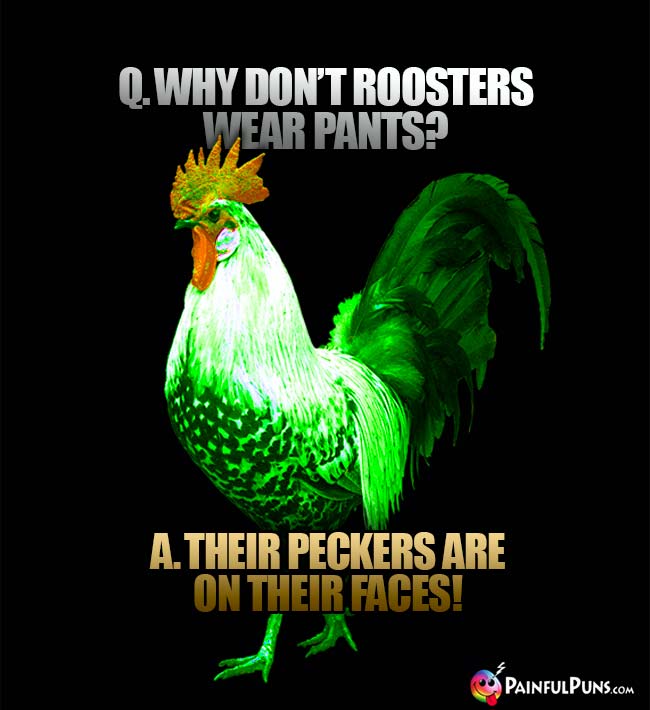 Chicken Jokes, Henhouse Humor, Rooster Puns 4