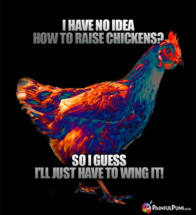 Chicken Jokes, Hen Humor, Poultry Puns
