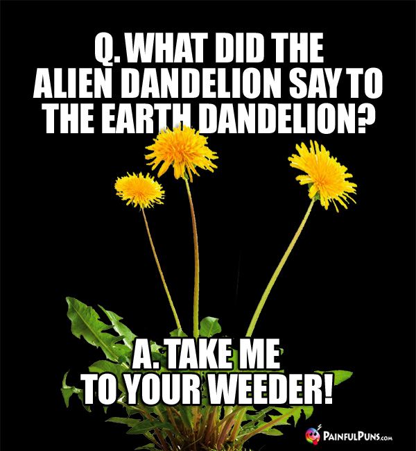 Gardening Jokes, Garden Humor, Plant Puns