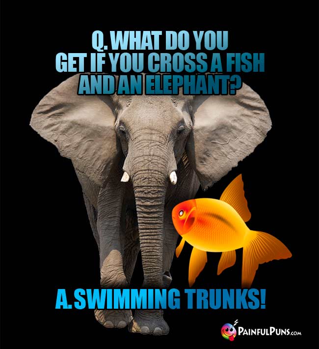 Elephant Jokes, Pachyderm Humor, Ele Fun Puns 2